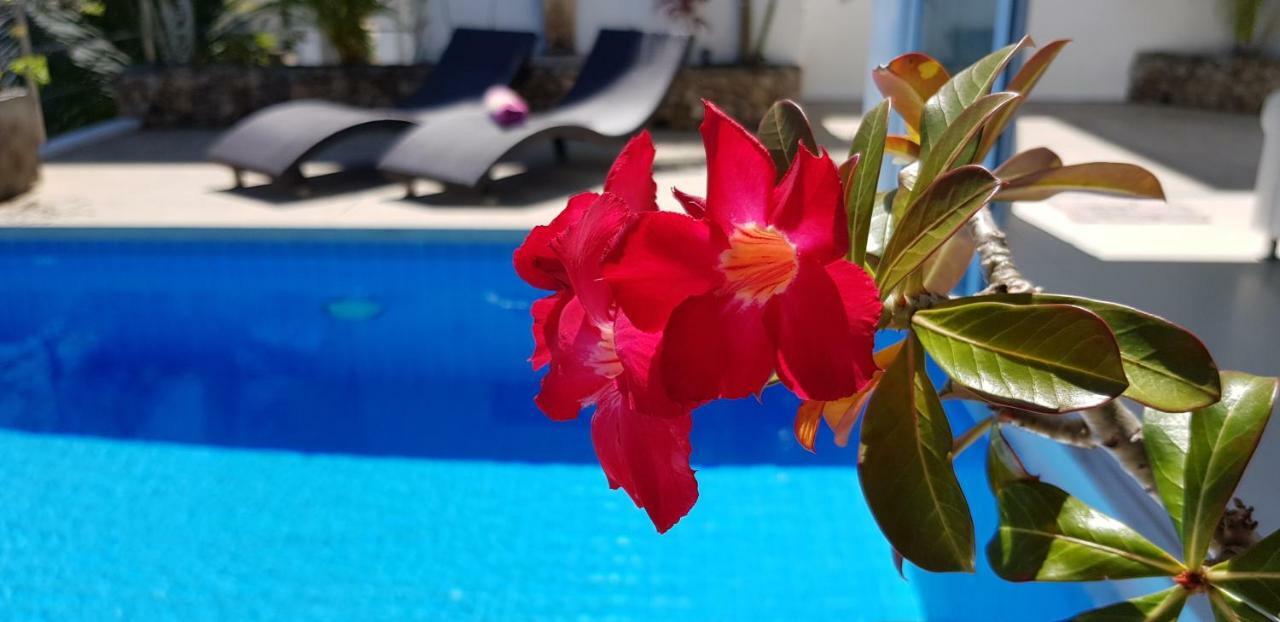 Villa Paradise, Pool And Sea View Chaweng  Bagian luar foto